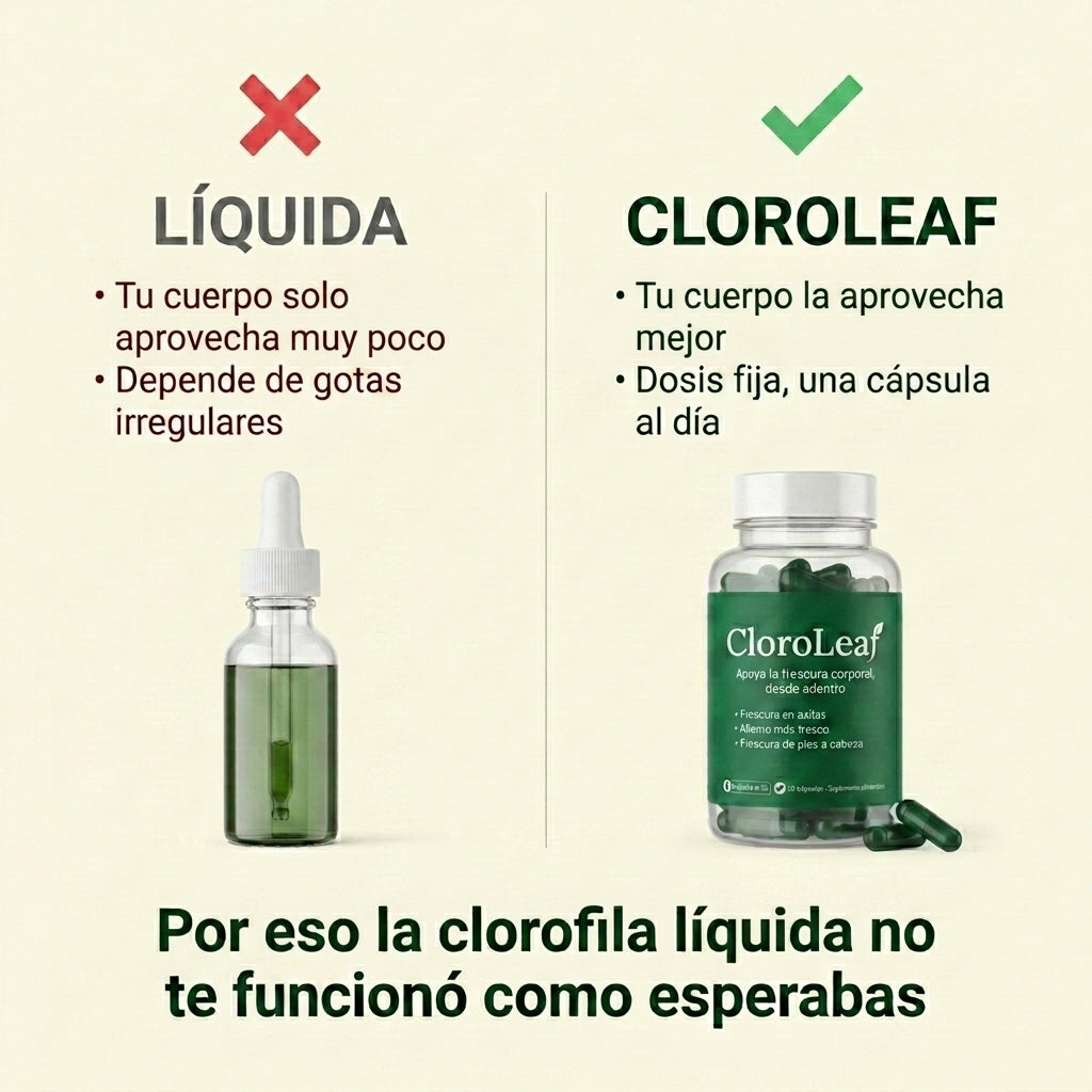 cloroleaf